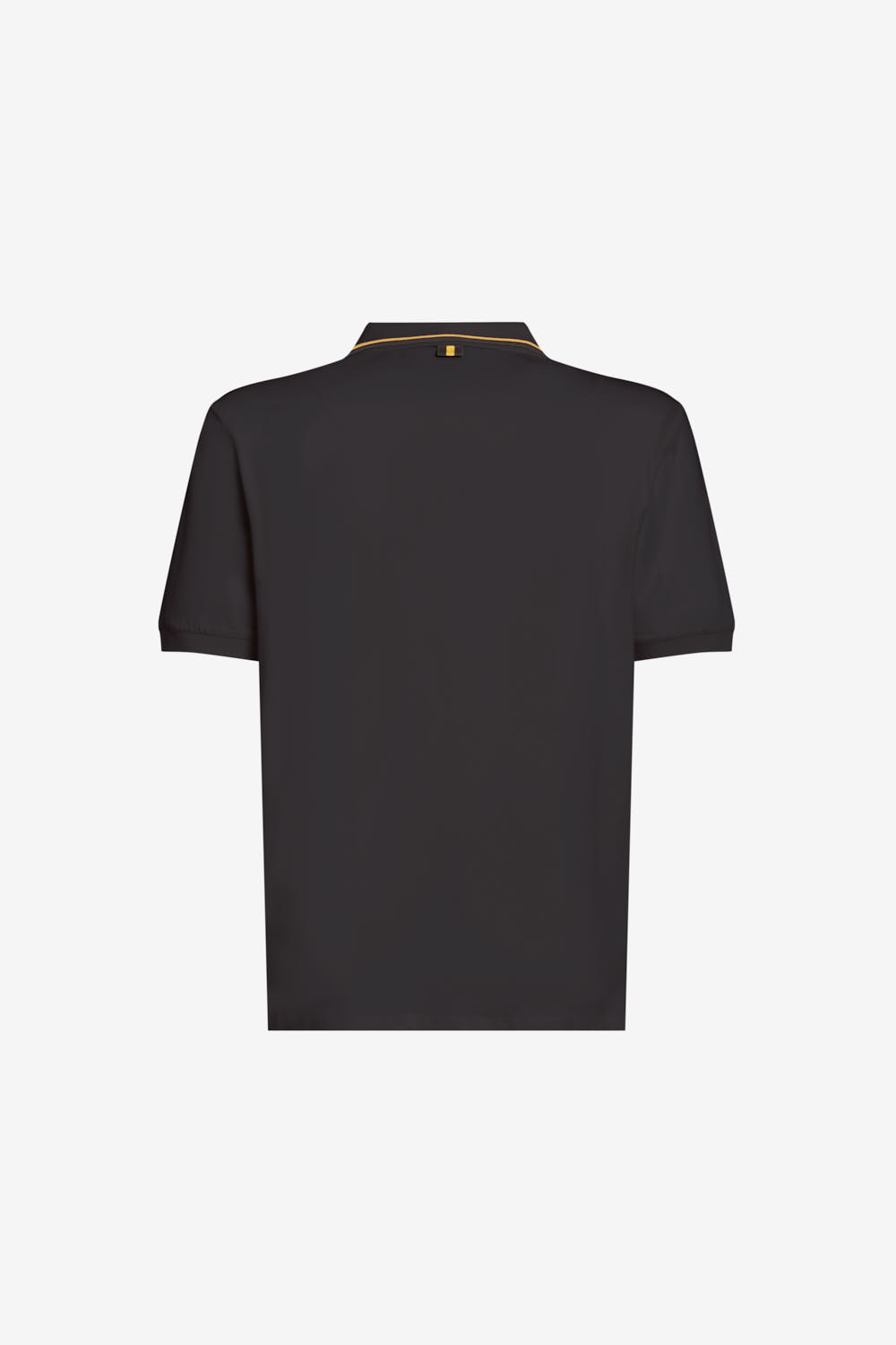 SAXON 4.0 265CPMT21665 C8640X 206XXX BACK