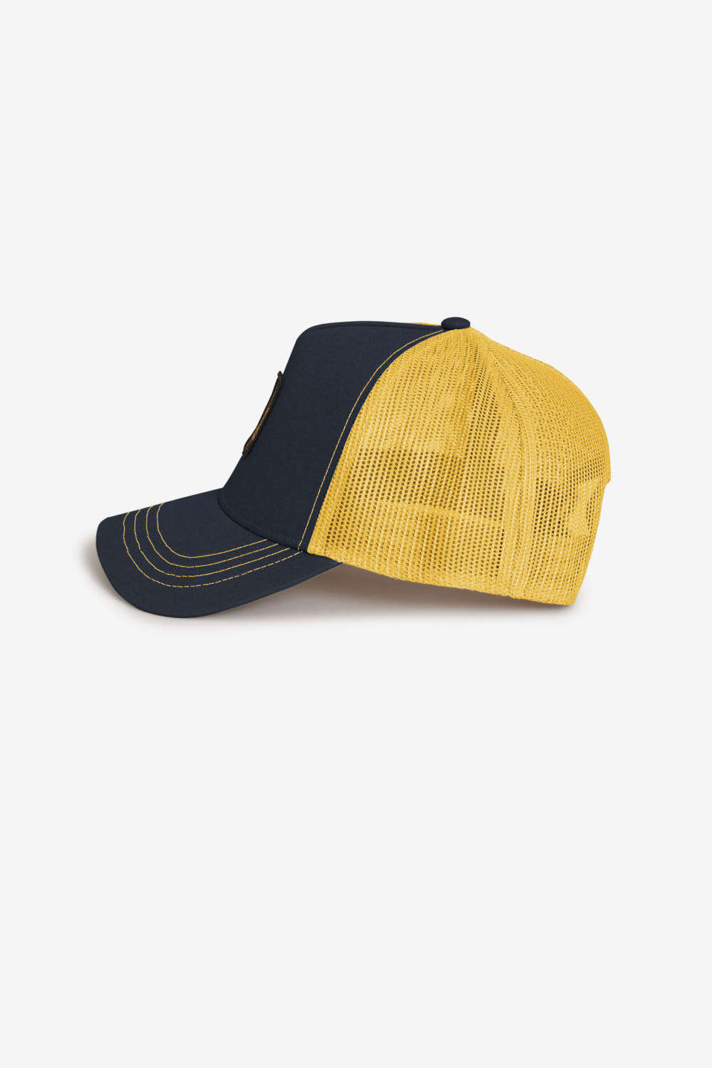 TRUK 265ACXA08696 C1L10X 341YXX SIDE