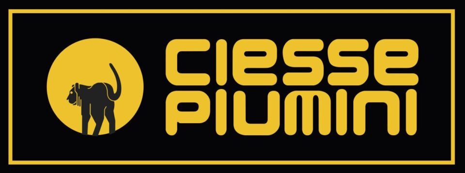 cropped Logo Ciesse Piumini Heritage