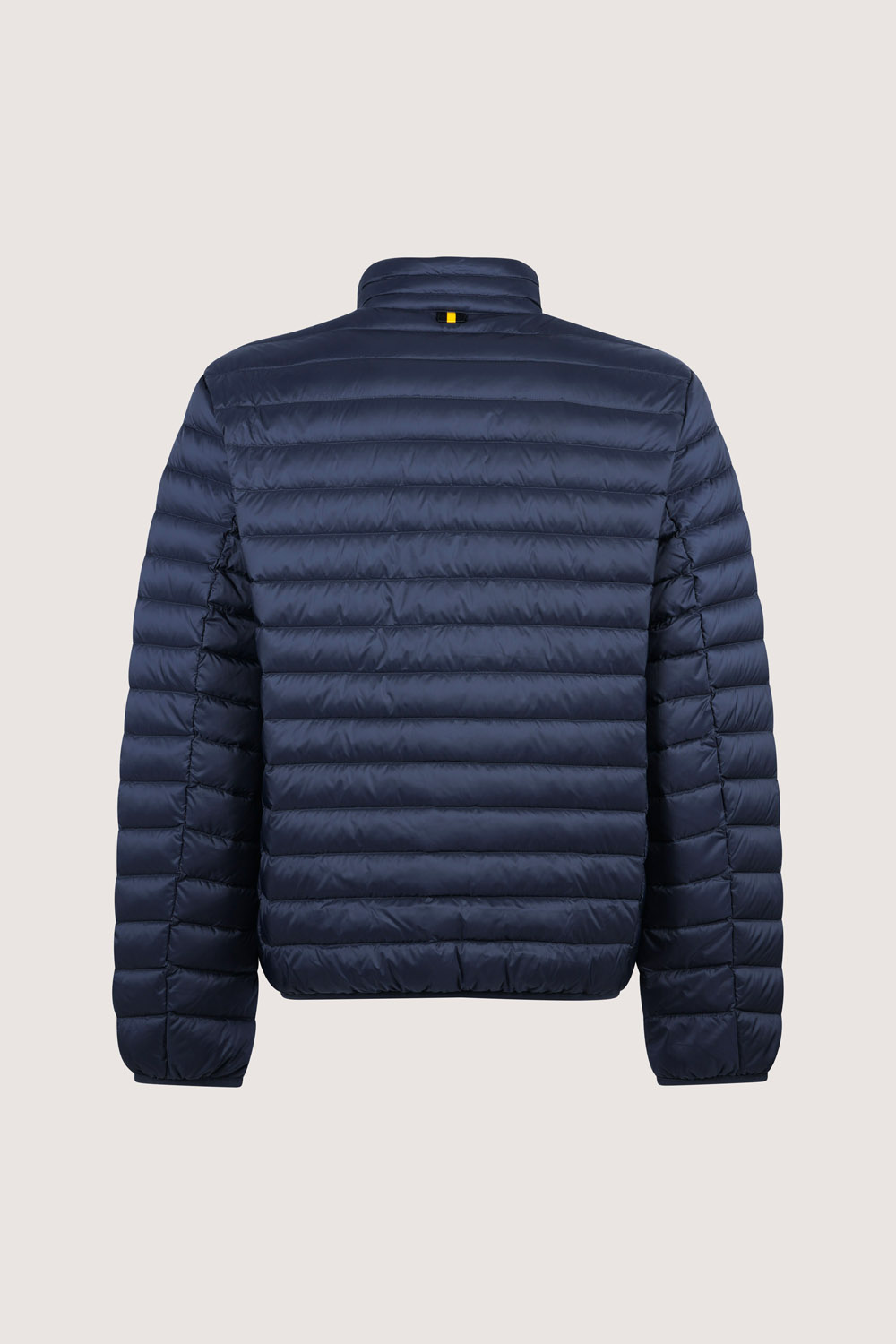 PRINCE 3.0 - 800FP LIGHT DOWN FULL ZIP JACKET_253CFMJ20061_N0210D_341XXP (2) PRINCE 3.0 800FP LIGHT DOWN FULL ZIP JACKET 253CFMJ20061 N0210D 341XXP 2 1
