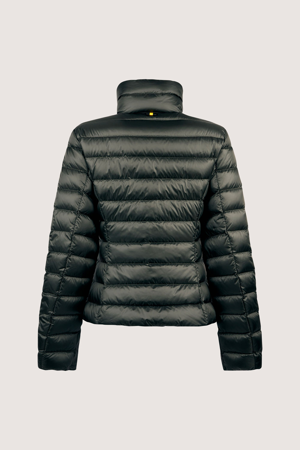EMILIA 800FP LIGHT DOWN FULL ZIP JACKET 263CFWJ23210 N1C10D 43DXXP 2