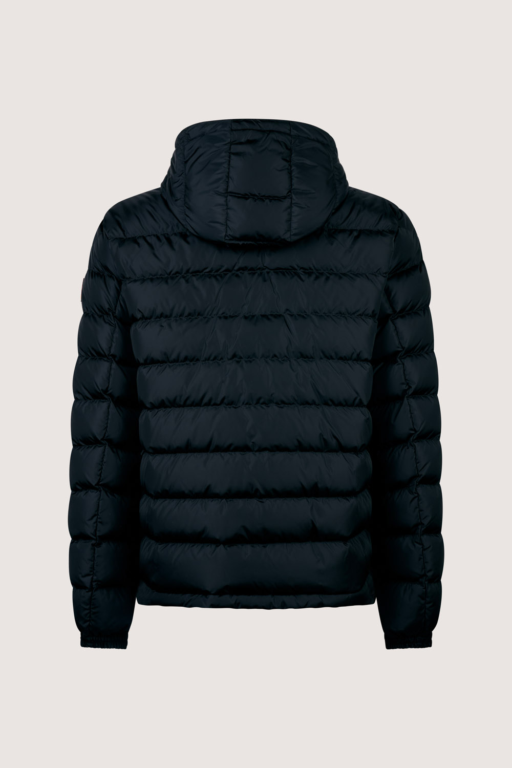 NED 2.0 - 800FP REAL DOWN JACKET WITH DETAC. HOODY_253CFMJ01484_N8R11D_206XXP_1 NED 2.0 800FP REAL DOWN JACKET WITH DETAC. HOODY 253CFMJ01484 N8R11D 206XXP 1 1