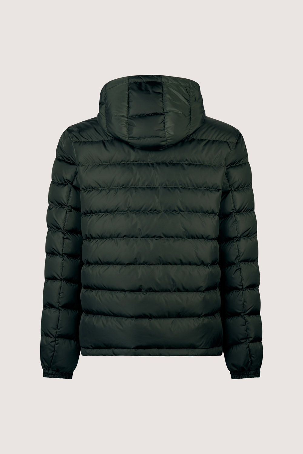 NED 2.0 - 800FP REAL DOWN JACKET WITH DETAC. HOODY_253CFMJ01484_N8R11D_43D3XP_1 NED 2.0 800FP REAL DOWN JACKET WITH DETAC. HOODY 253CFMJ01484 N8R11D 43D3XP 1 1